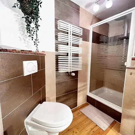 Sali Homes - Altstadt - 8 דירה שווביש האל